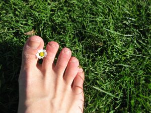 spring foot