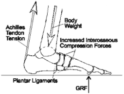 Dorsal-Compression-Syndrome