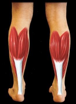 achilles-tendonitis